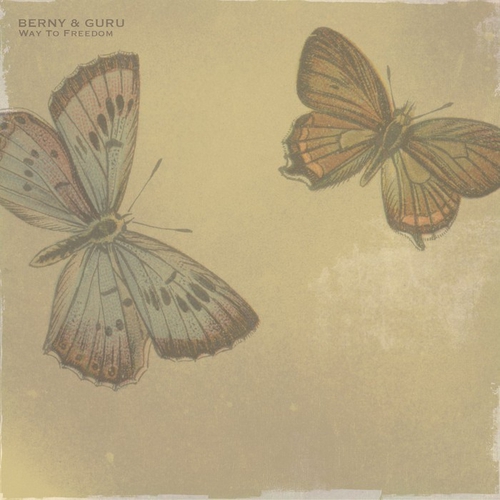 Berny & Guru - Magnetic Fields